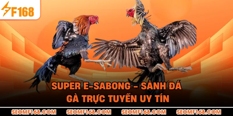 Super e-sabong - Sảnh Đá Gà Trực Tuyến Uy Tín