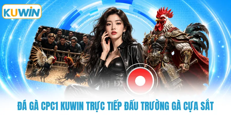 da ga cpc1 kuwin truc tiep dau truong ga cua sat Đá gà CPC1 KUWIN trực tiếp đấu trường gà cựa sắt