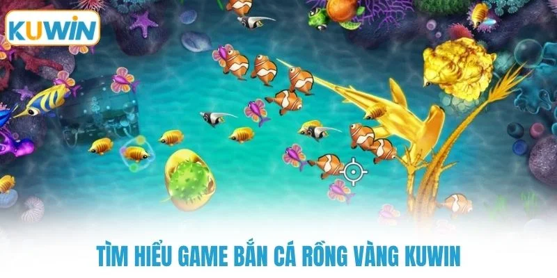 tim hieu game ban ca rong vang kuwin Tìm hiểu game bắn cá rồng vàng KUWIN